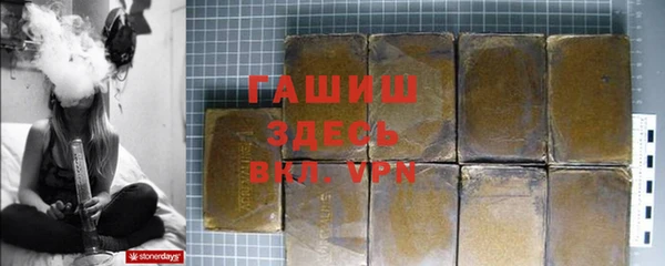 прущие грибы Белокуриха