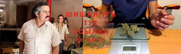 прущие грибы Белокуриха