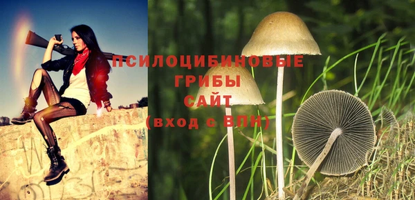 скорость Тобольск