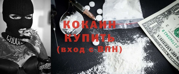 прущие грибы Белокуриха