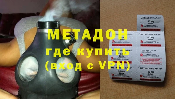 прущие грибы Белокуриха
