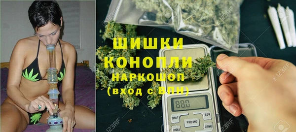 прущие грибы Белокуриха