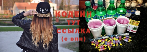 прущие грибы Белокуриха