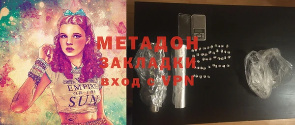 прущие грибы Белокуриха