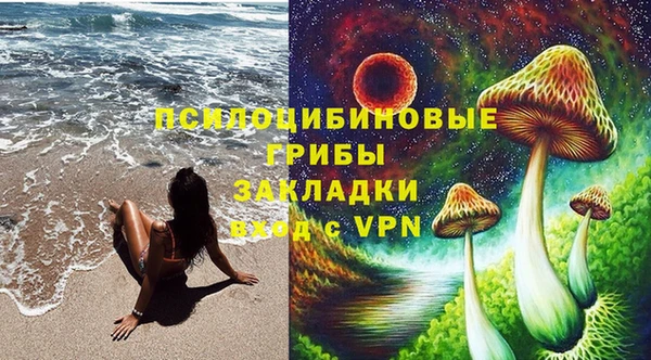 тгк Беломорск