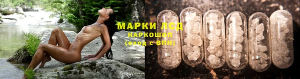 тгк Беломорск