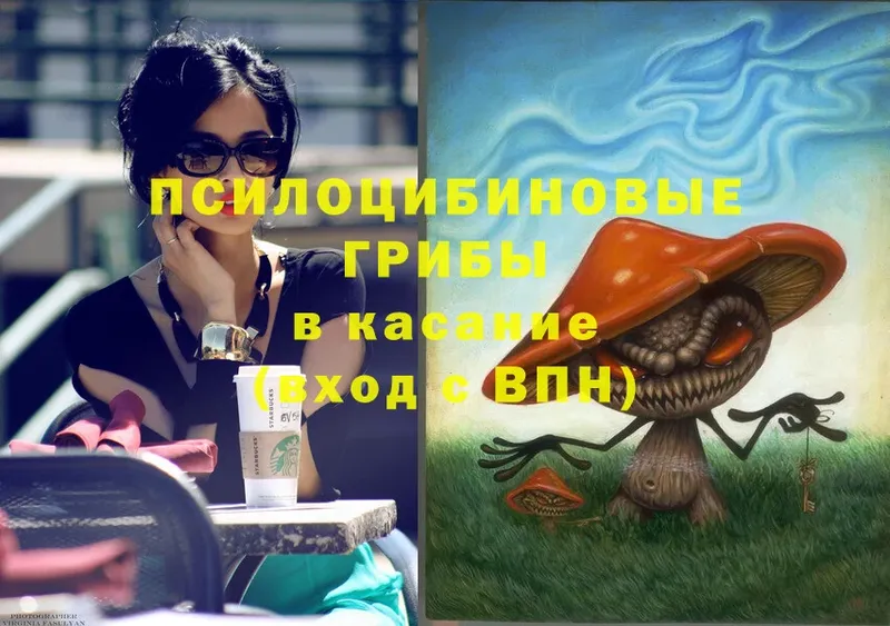 kraken сайт  Вельск  Псилоцибиновые грибы Magic Shrooms 