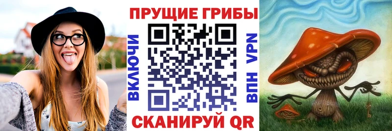 Псилоцибиновые грибы мицелий  Вельск 